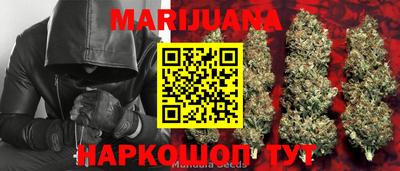 стаф Кунгур