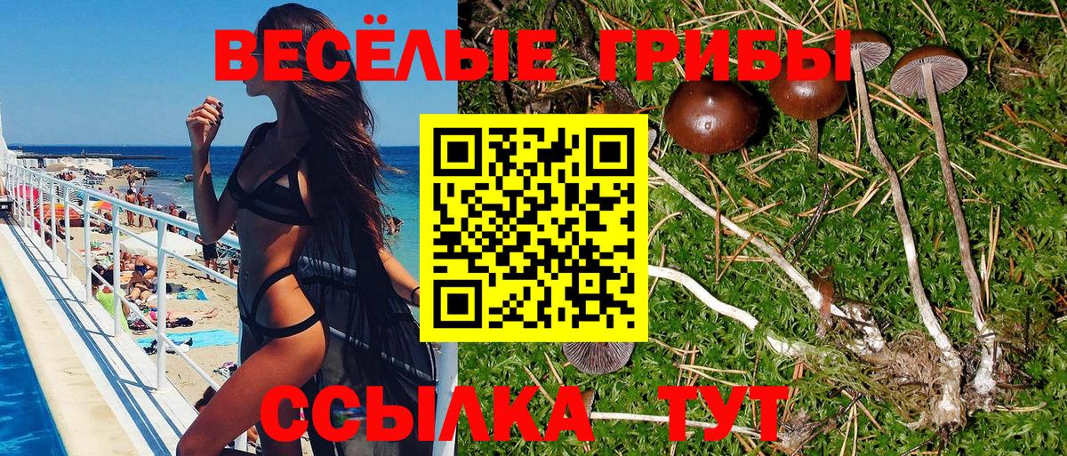 Галлюциногенные грибы мухоморы  Вход с VPN  Щёлково  Галлюциногенные грибы Cubensis 