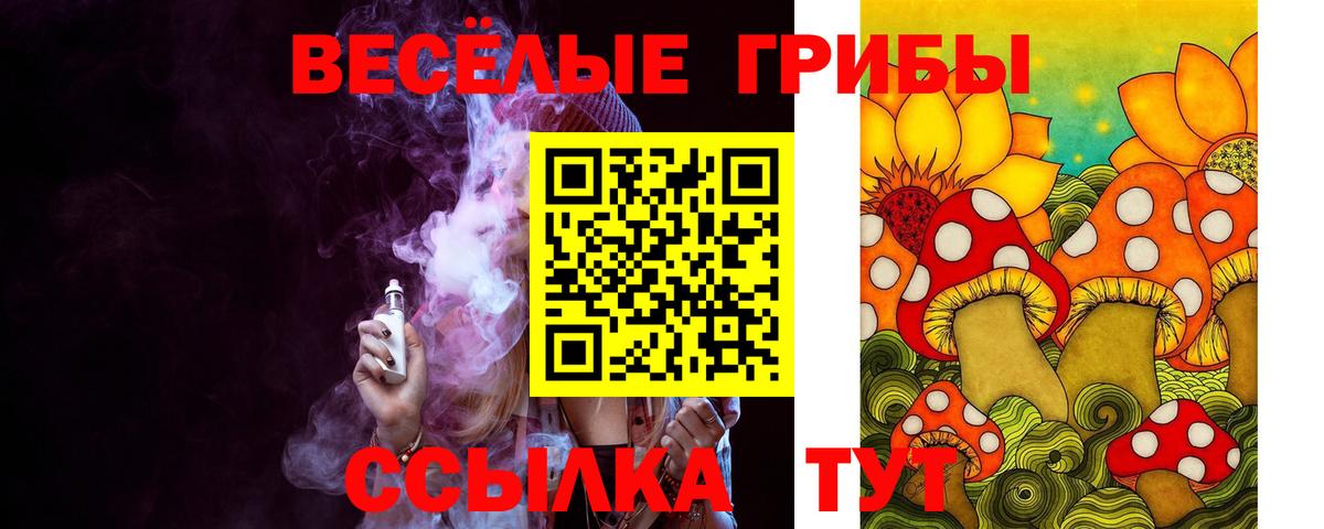 Галлюциногенные грибы Magic Shrooms Щёлково